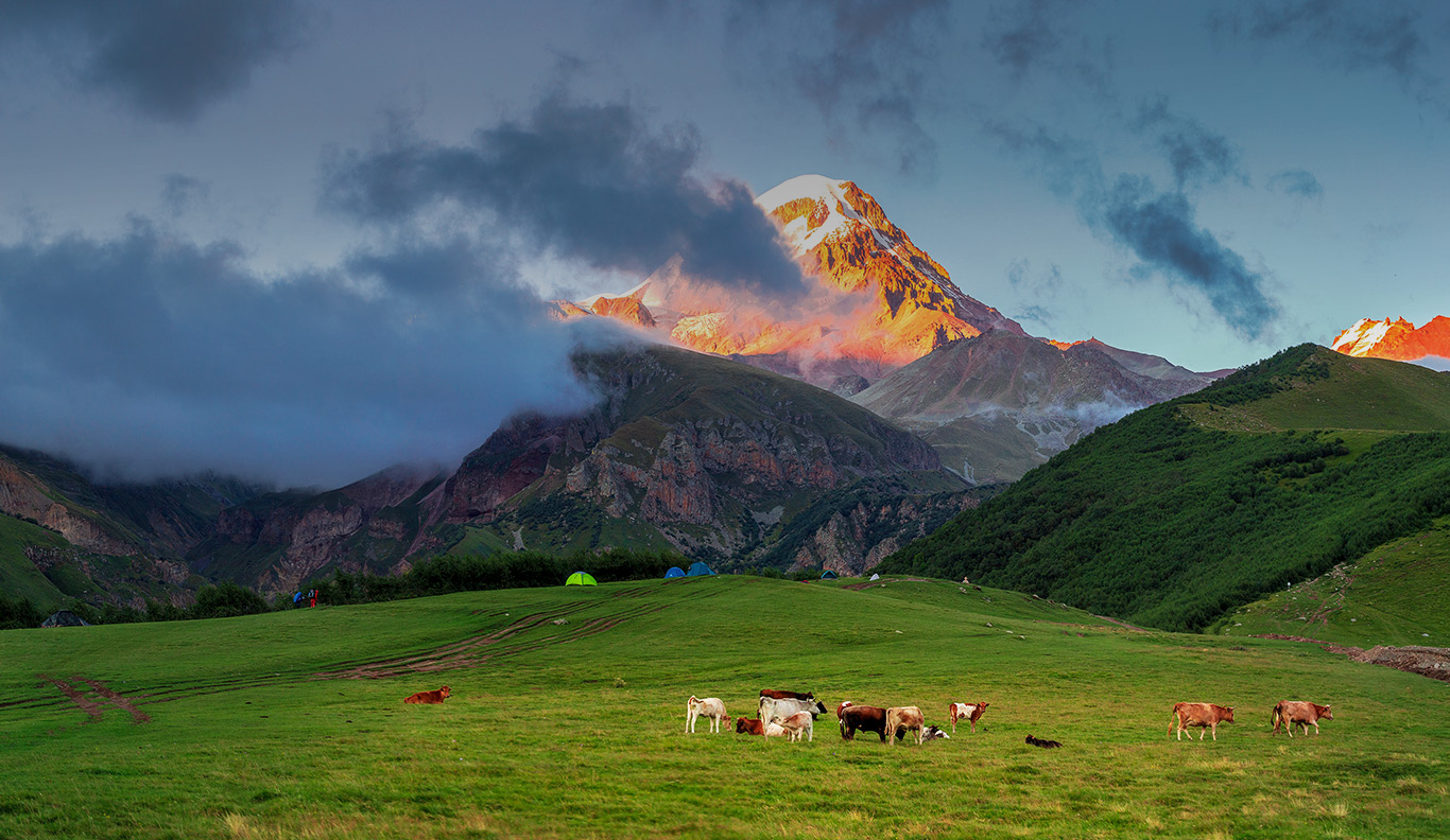 dasht--desktop